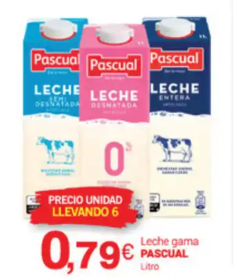 Supermercados Plaza Pascual Leche gama Litro oferta