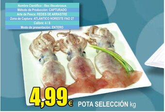 FROIZ Pota Selección kg oferta