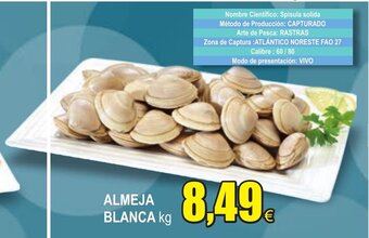 FROIZ Almeja Blanca kg oferta