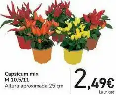 Carrefour Capsicum mix m10,5/ 11 oferta