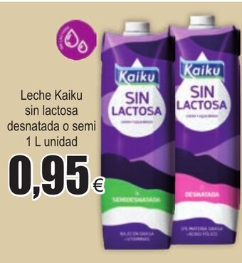 FROIZ Leche Kaiku sin lactosa desnatada o semi 1l unidad oferta