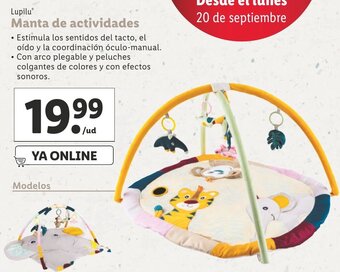 Lidl Lupilu Manta de actividades oferta
