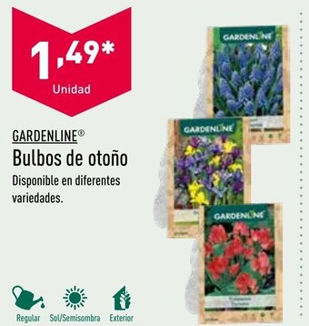 ALDI Gardenline Bulbos de otoño oferta
