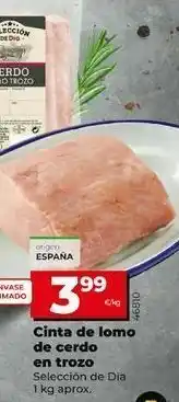 Dia Cinta de lomo oferta