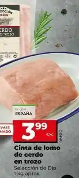 Dia Fresh Cinta de lomo oferta