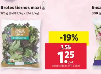 Lidl Brotes tiernos maxi oferta