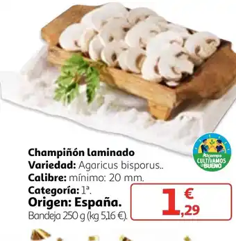 Alcampo Champiñón laminado oferta