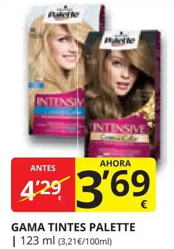 Supermercados MAS GAMA TINTES PALETTE oferta