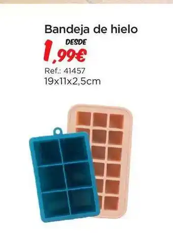 Espaço Casa Bandeja de hielo 19x11x2,5cm oferta