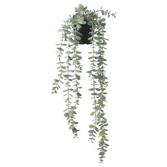 IKEA Fejka planta artificial, int/ext colgante/eucalipto, 9 cm oferta