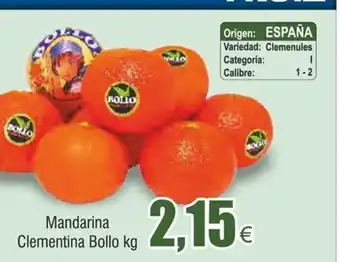 FROIZ Mandarina Clementina Bollo kg oferta