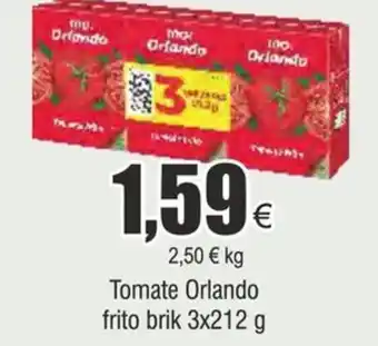 FROIZ Tomate Orlando frito brik 3x212 g oferta