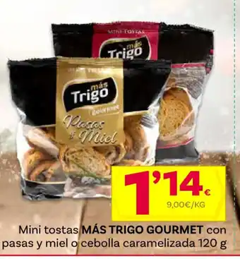Supermercados Dani Mini tostas MÁS TRIGO GOURMET con pasas y miel o cebolla caramelizada 120 g oferta