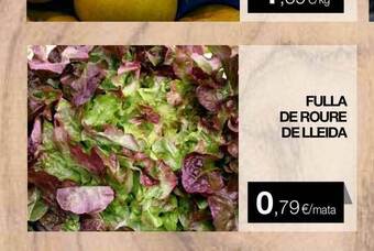 Plusfresc Fulla De Roure De Lleida oferta
