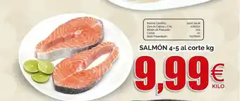FROIZ Salmón 4-5 Al Corte kg oferta