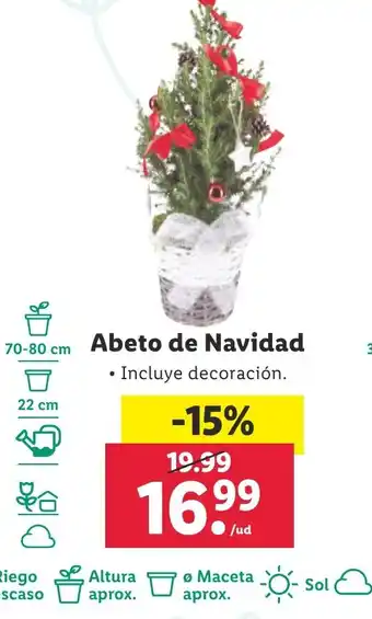 Lidl Abeto de Navidad oferta