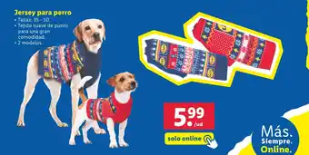 Lidl Jersey para perro oferta