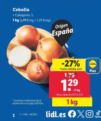 Lidl Cebolla oferta