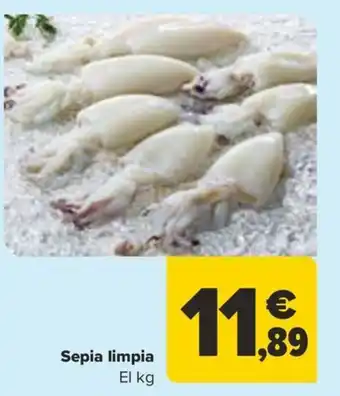 Carrefour Sepia limpia oferta