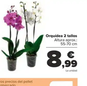 Carrefour Orquídea 2 tallos oferta