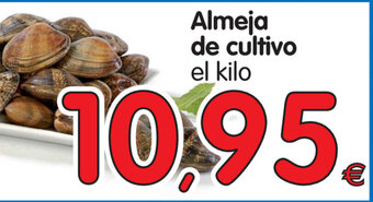 Alimerka Almeja de cultivo oferta