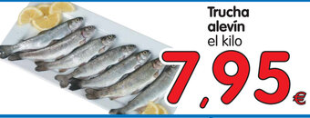 Alimerka Trucha alevin oferta
