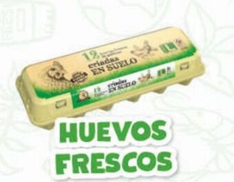 Lidl Huevos Frescos oferta