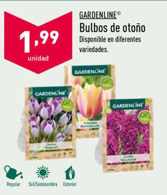 ALDI Gardenline Bulbos de otoño oferta