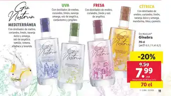 Lidl Ginebra oferta
