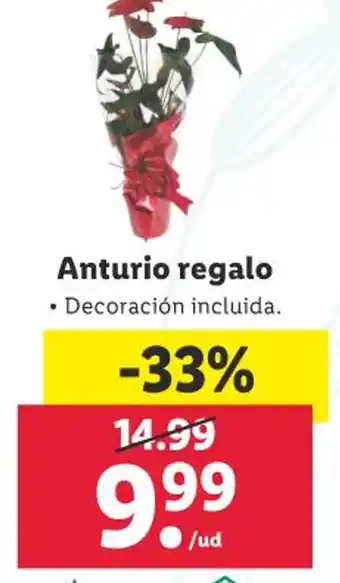 Lidl Anturio regalo oferta