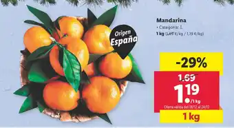Lidl Mandarina oferta