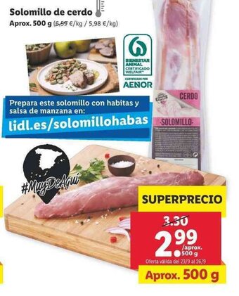 Lidl Solomillo de cerdo 500g oferta