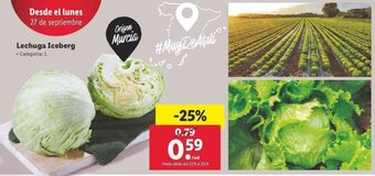 Lidl Lechuga Iceberg oferta