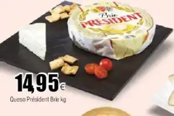FROIZ Queso Président Brie kg oferta