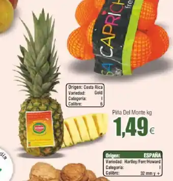 FROIZ Piña Del Monte kg oferta