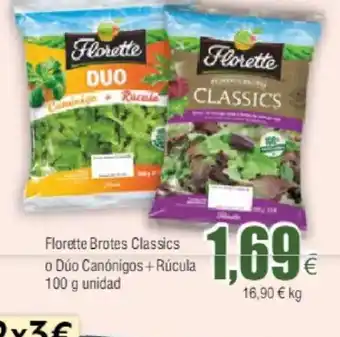 FROIZ Florette Brotes Classics o Dúo Canónigos + Rúcula 100 g unidad oferta