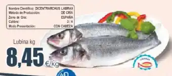 FROIZ Lubina kg oferta