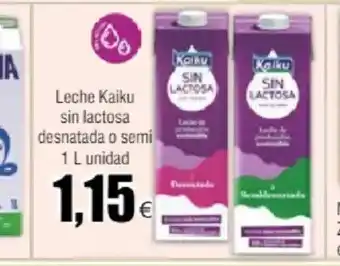 FROIZ Leche Kaiku sin lactosa desnatada o semi 1 L unidad oferta