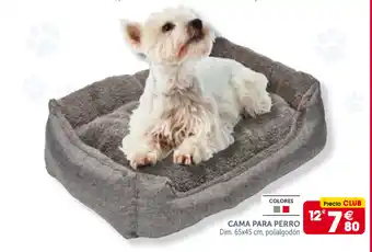 GiFi Cama para Perro, Dim. 65x45 cm, polialgodón oferta