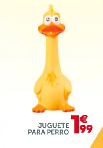 GiFi Juguate para Perro oferta