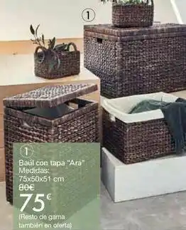 Carrefour Baúl con tapa "ara" oferta