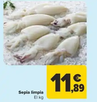 Carrefour Sepia limpia oferta