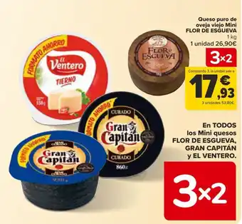 Carrefour Queso puro de oveja viejo Mini FLOR DE ESGUEVA oferta