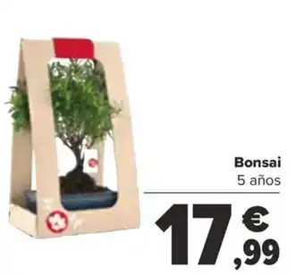 Carrefour Bonsai 5 años oferta