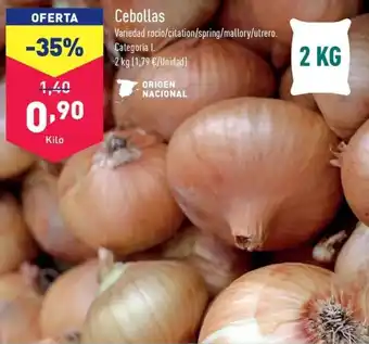 ALDI Cebollas oferta