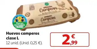 Alcampo Huevos camperos clase L oferta