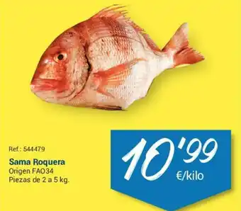 Makro Sama Roquera Origen FAO34 Piezas de 2 a 5 kg. oferta