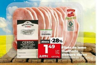 Dia Filetes de cerdo dia oferta