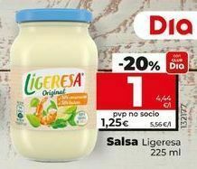 Dia Salsas ligeresa oferta