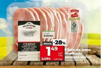 Filetes de cerdo dia
